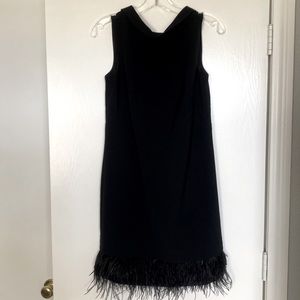 Ann Taylor Ostrich Feather Dress NWT